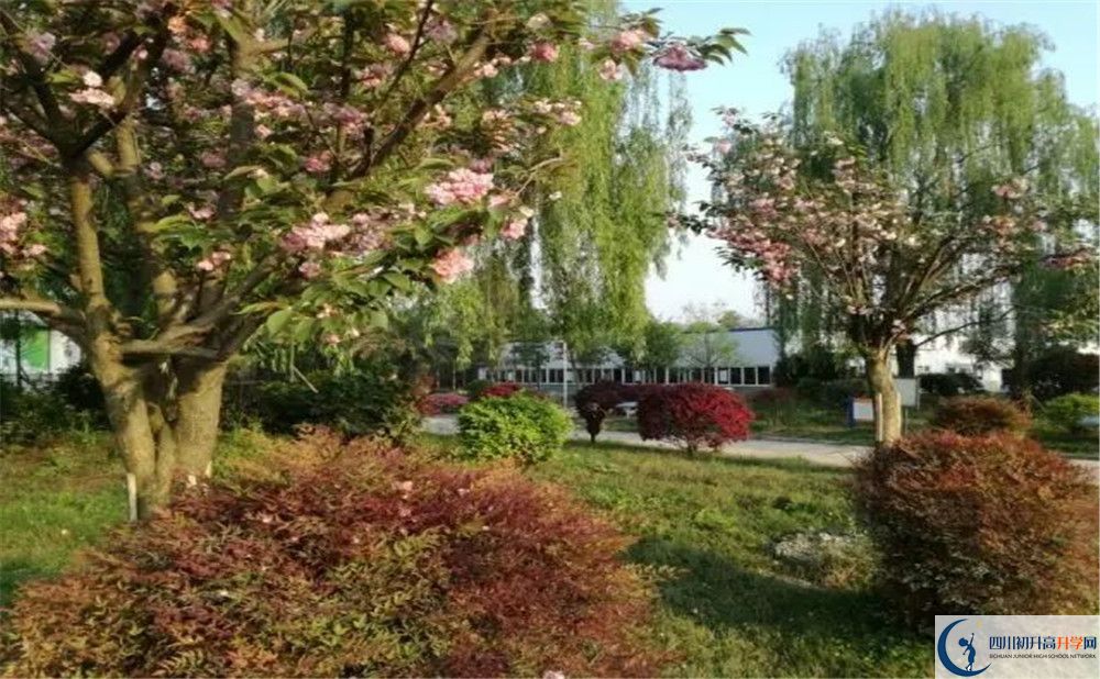 成都實(shí)驗(yàn)外國(guó)語(yǔ)學(xué)校（西區(qū)）高中分班考試難嗎？