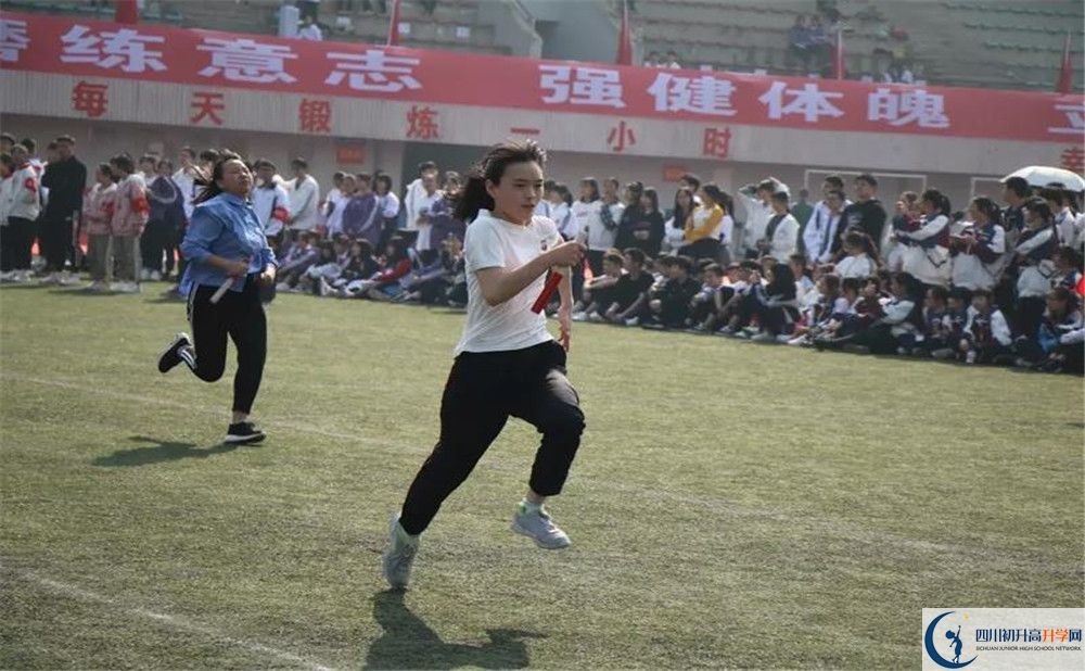 2020香城中學(xué)高三英語期末試卷在哪看？