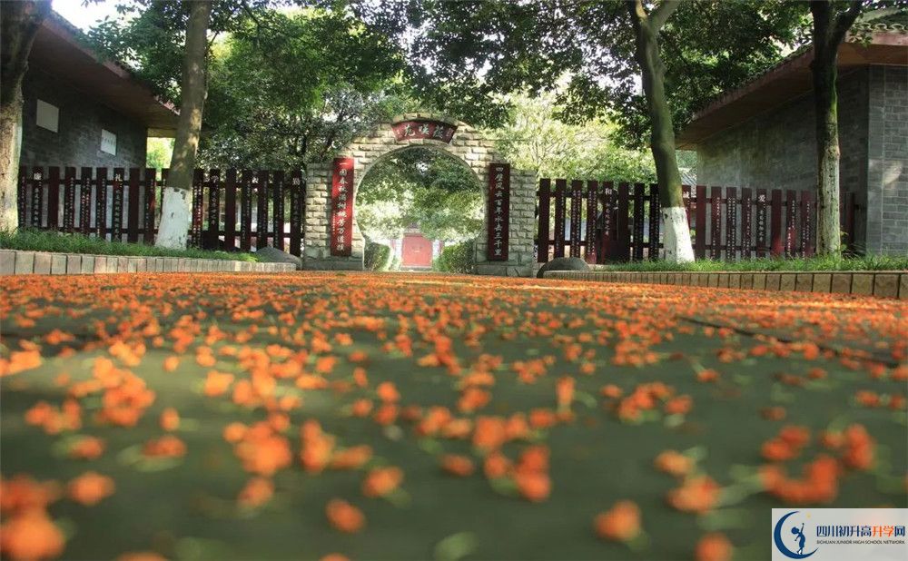 成都七中高新校區(qū)平行班中考重點(diǎn)率是多少？
