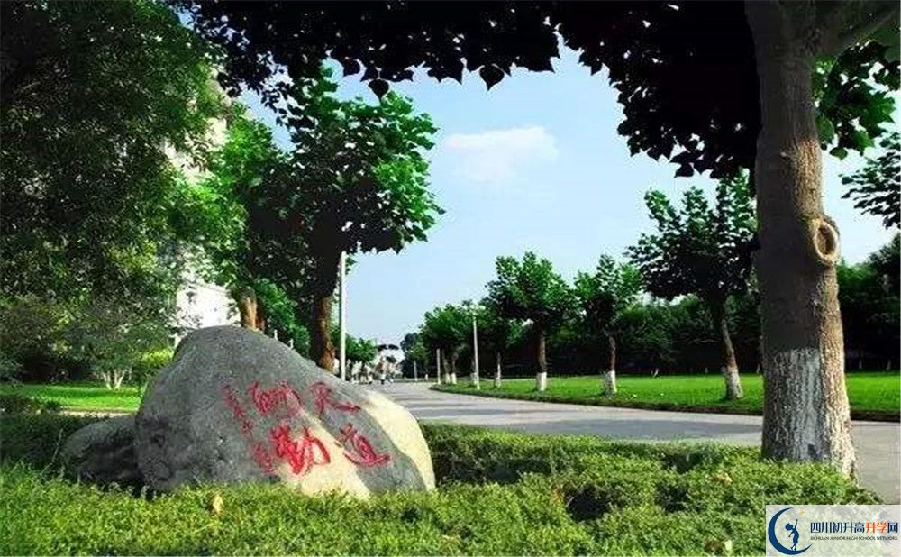 成都樹(shù)德中學(xué)補(bǔ)課嗎？