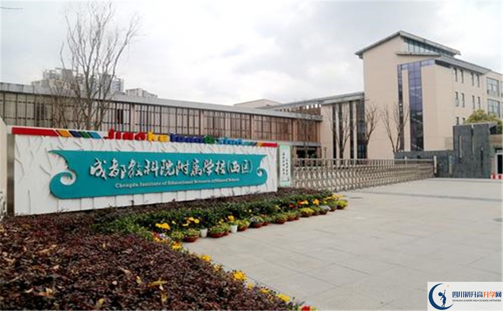 成都教科院附屬學(xué)校2020年高考人數(shù)是多少？