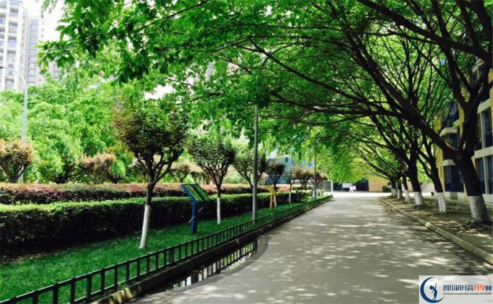 成都七中實驗學校2020年開學時間安排是怎樣的？