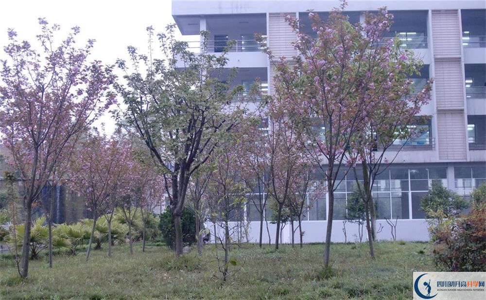 2020年射洪中學(xué)中考考試時(shí)間是否有調(diào)整？