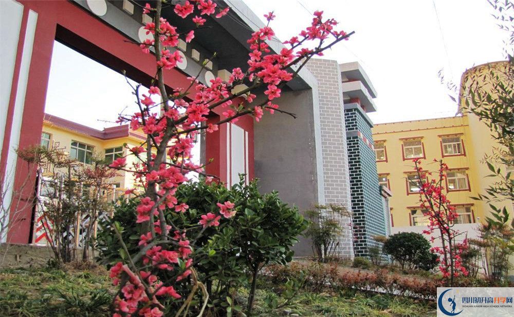 金川中學(xué)今年的錄取條件是否有變化？
