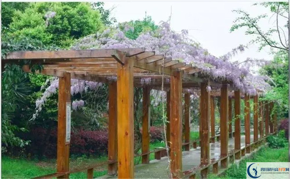 廣安花橋中學高三診斷考試時間怎么安排？