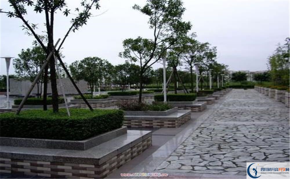 遂寧中學(xué)高三診斷考試時(shí)間怎么安排？