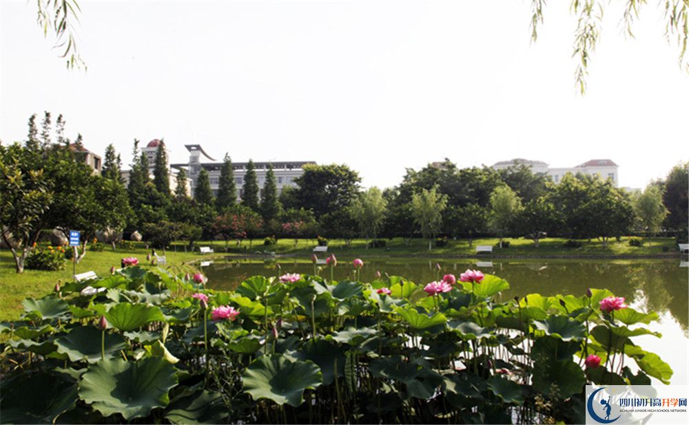 綿陽(yáng)南山中學(xué)實(shí)驗(yàn)學(xué)校2020年報(bào)名考試時(shí)間是否有調(diào)整？