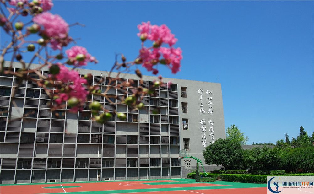 成都三十六中排名第幾？