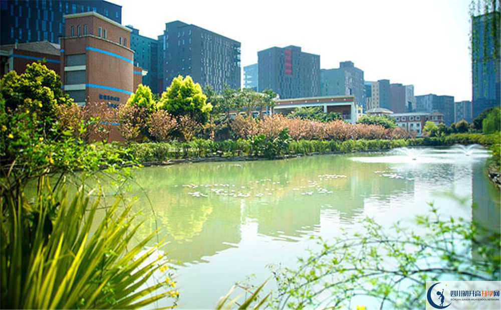 成都美視國際2020年怎么報名？