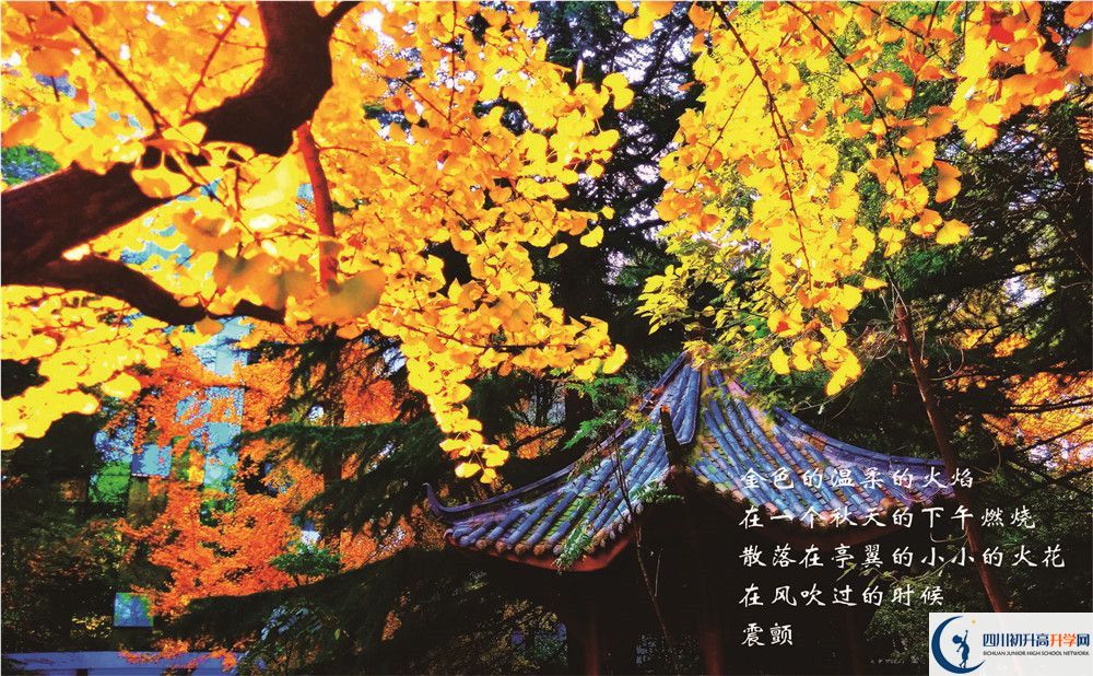 七中高新2020年學費是多少錢？