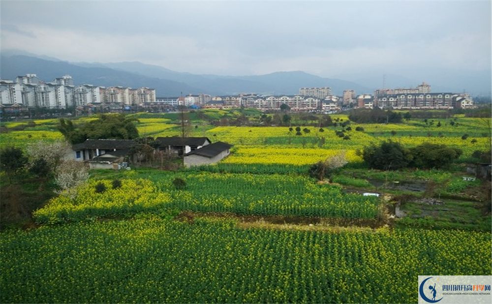 都江堰育才學(xué)校2020年錄取分?jǐn)?shù)線是多少分？