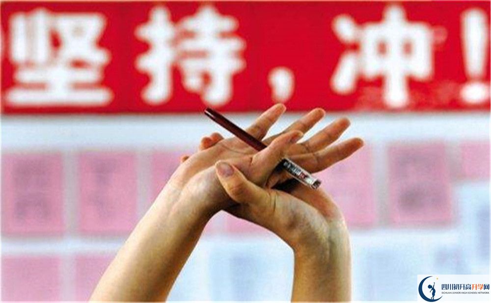 成都市成都棠湖外國語學校2022年國際班招生錄取分數線