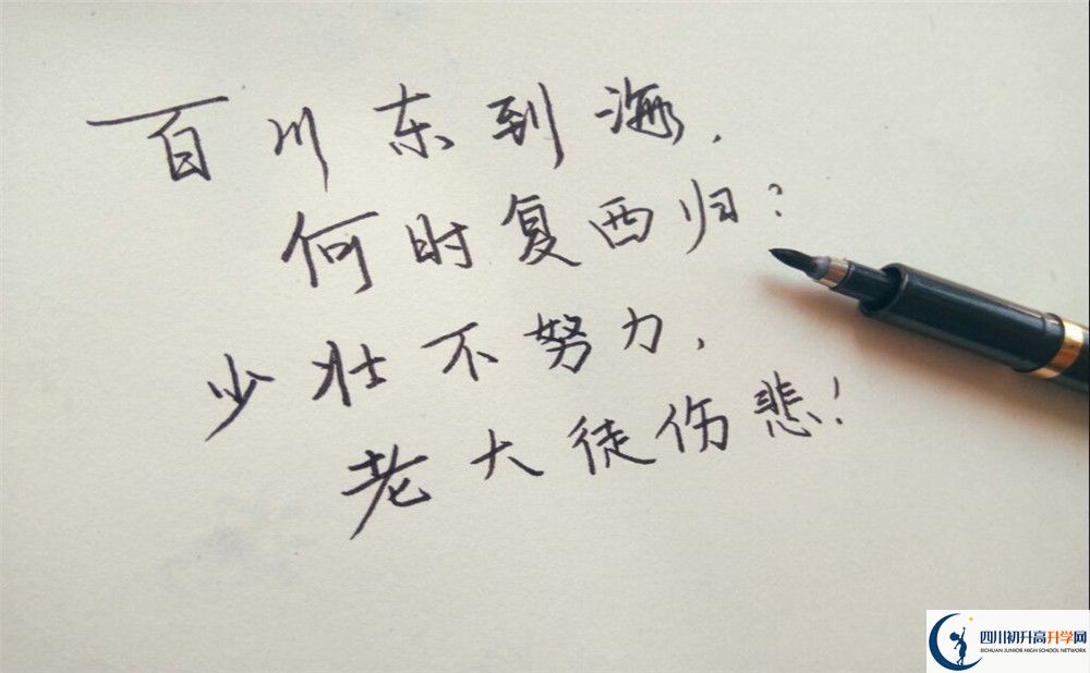 2023年成都市大邑縣實(shí)驗(yàn)中學(xué)招生計(jì)劃是什么？